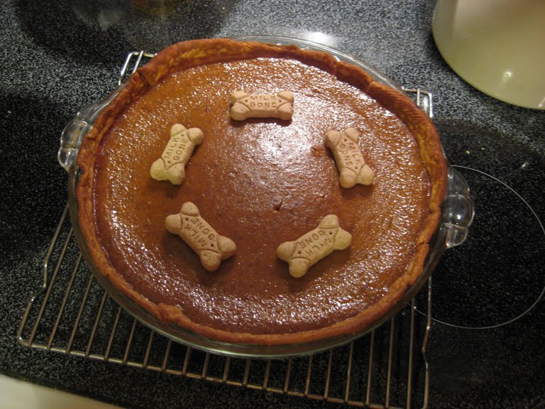 Can Dogs Have Cinnamon And Brown Sugar Can Dogs Have Cinnamon And Brown Sugar