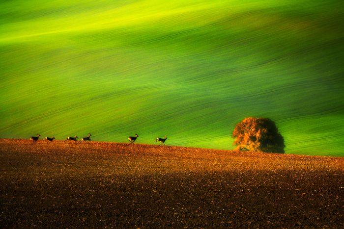 Cool FunPedia: Stunning Scenery Moravia