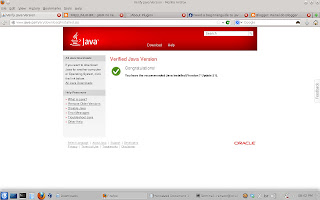 Instale o JAVA 7 update 21 no Fedora 18