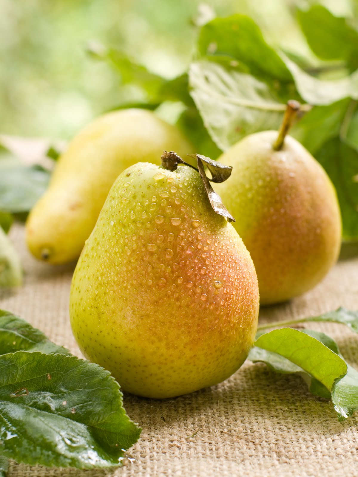 http://4.bp.blogspot.com/-wElDAEYMoIA/TyRGW3q-WpI/AAAAAAAAAYQ/t0ETQbAX7aE/s1600/Fresh%2Bjuicy%2Bpears%2B1.jpg