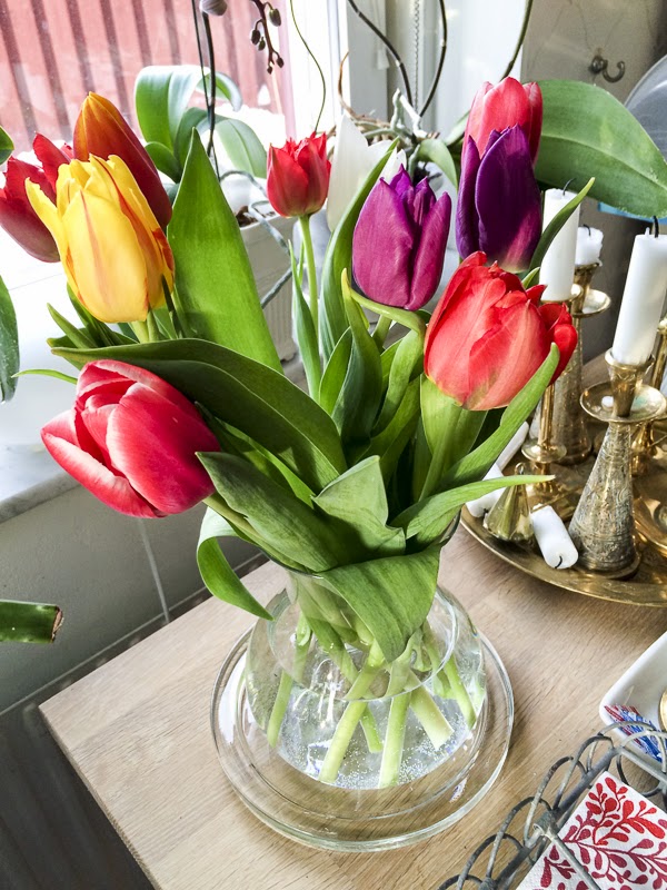 tulpaner tulpaner, tulips