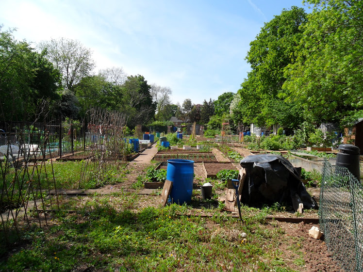 Allotment site view