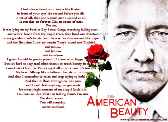 Quote To Remember American Beauty 1999