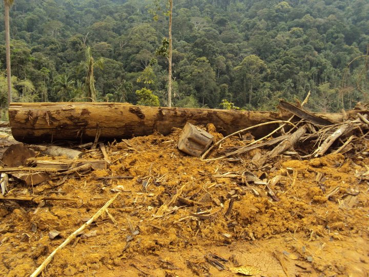 Pas Kawasan Gerik Gambar Pembalakan Gunung Lang Kampung Pas Kawasan Gerik Gambar Pembalakan Gunung Lang Kampung