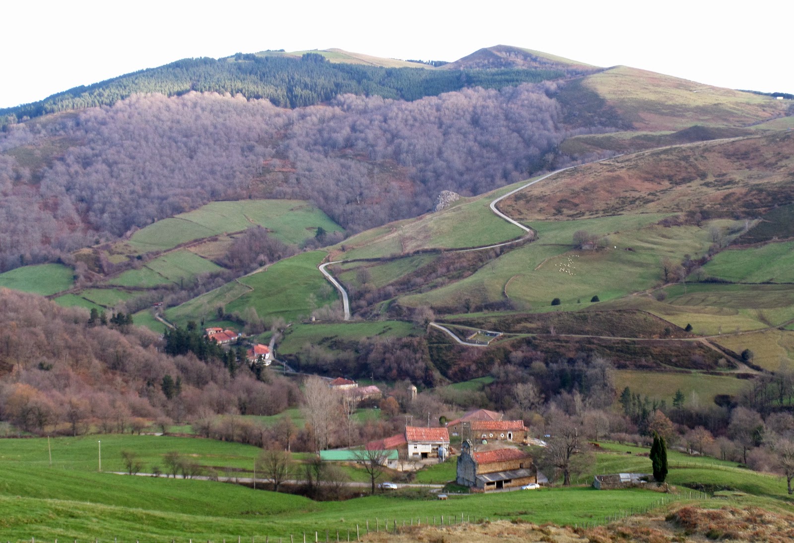 GOMINOLASMMYP Ruta El Prado Monte Zalama.