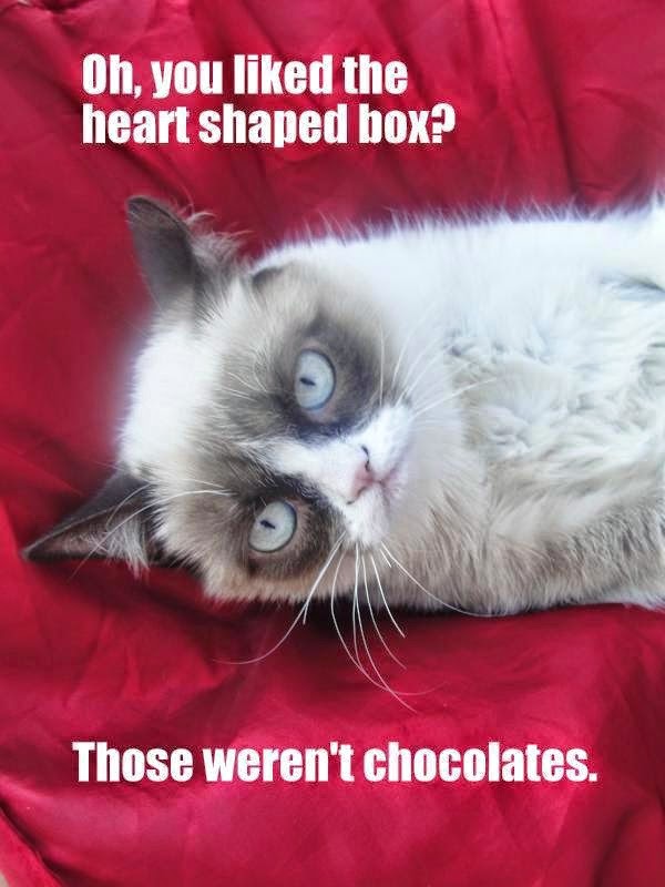 valentine's day memes clean meme central 41ce0bd9a19b513f096aad7f8d972316 valentine's day memes clean meme central,Memes Clean