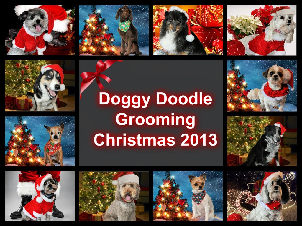 Doggy Doodle Grooming Christmas
