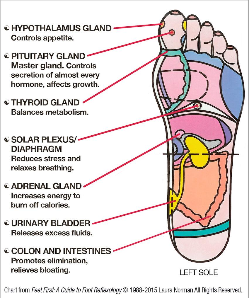 SUPERB Women of Style How To Identify The Pressure Points on Your Feet