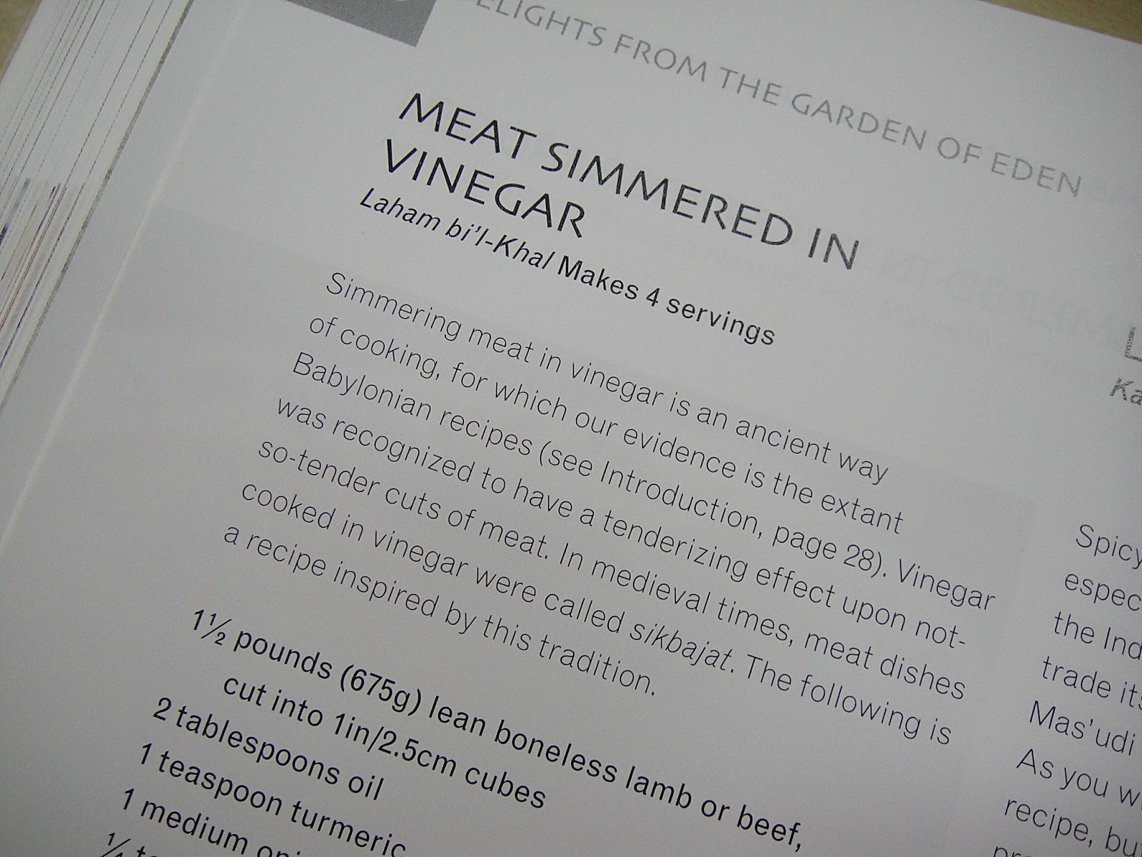 Maryam's Culinary Wonders 399. Stewed Meat in Vinegar