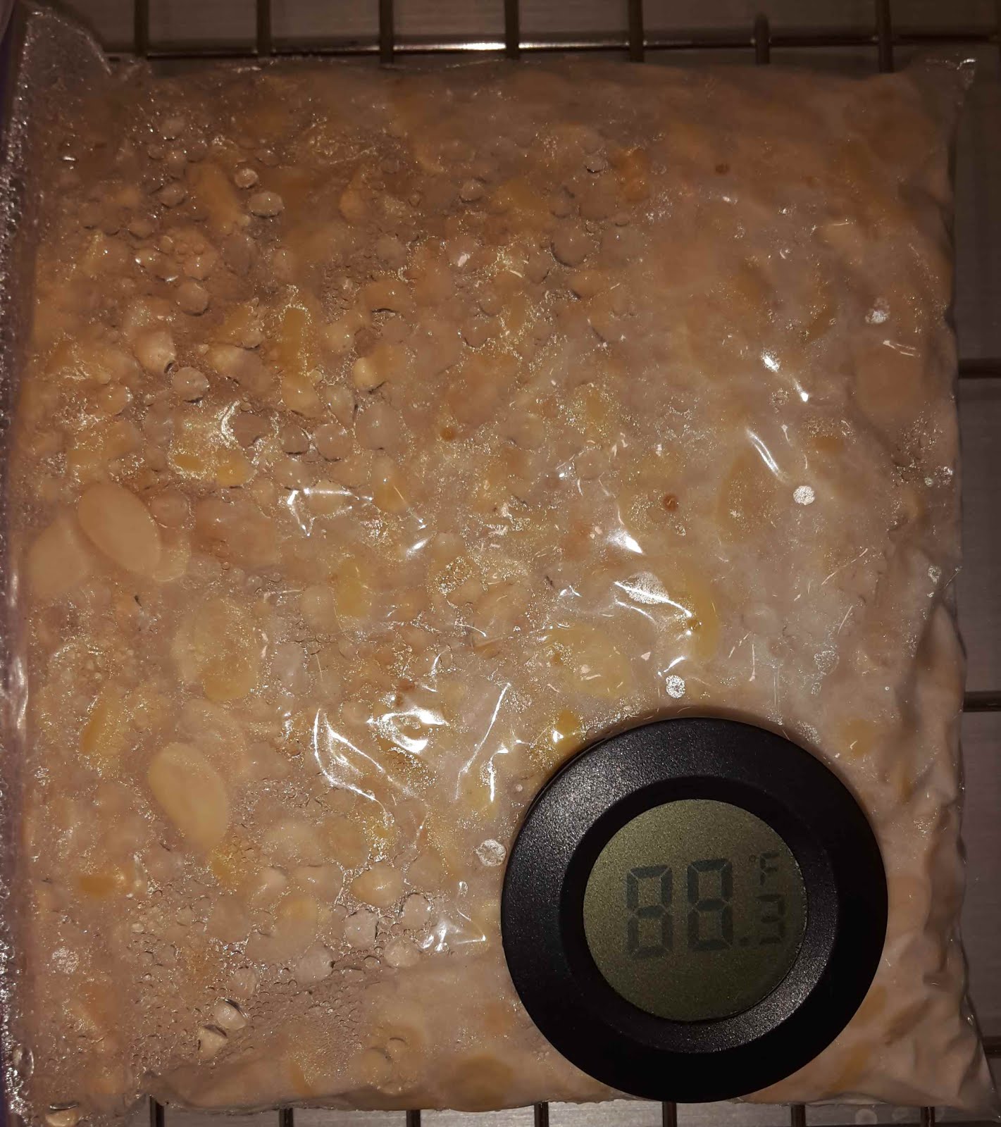 Food Transformation Homemade Tempeh