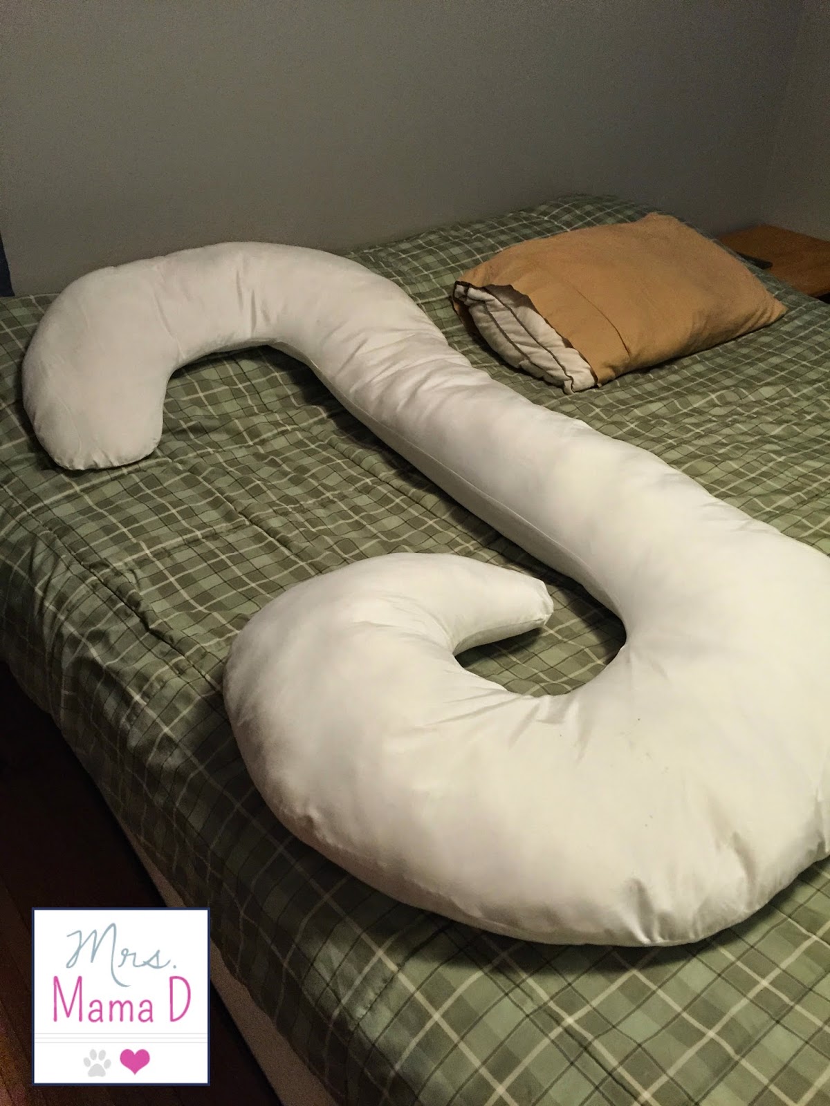 Mini D's 1st Trimester (Weeks 1113) Mrs Mama D