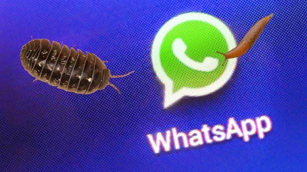 You Can Read Others Messages in Whatsapp with Whatsapp Sniffer tricks to read other whatsapp messages how to