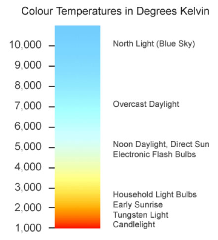 Light Bulb White Balance Color Temperature Kelvin White Balance In