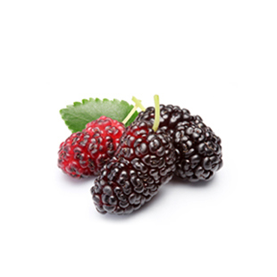 Organic Mulberry Extract
