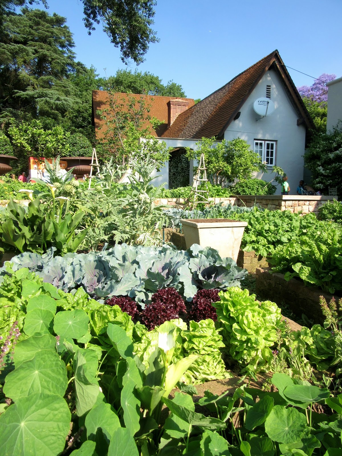 The Great Wildebeest Migration Beechwood Garden