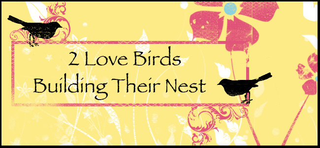 2 Love Birds Building a Nest