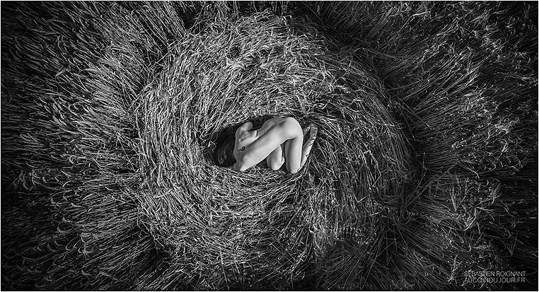 Emerging Photographers, Best Photo of the Day in Emphoka by Sébastien Roignant, https://flic.kr/p/oaNvYS Emerging Photographers, Best Photo of the Day in Emphoka by Sébastien Roignant, https://flic.kr/p/oaNvYS