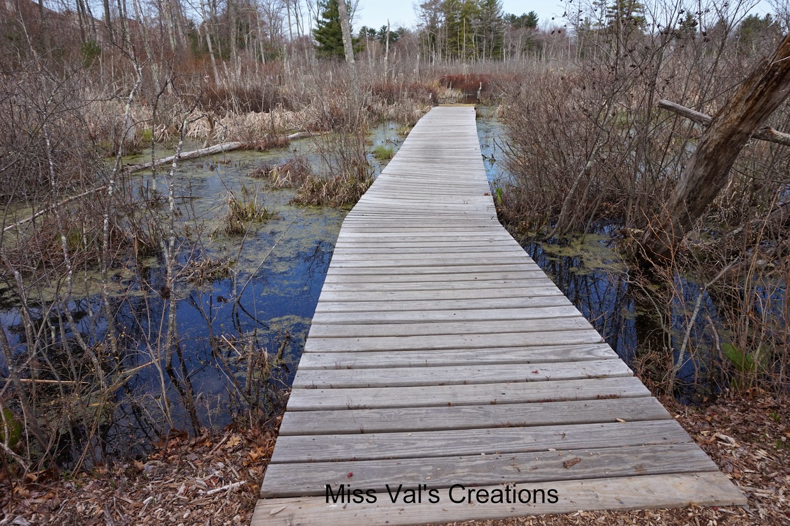 Miss Val's Creations Swamp Walk