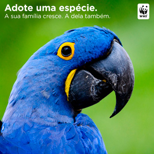 Adote uma espécie! Adote um ninho de Arara Azul Grande