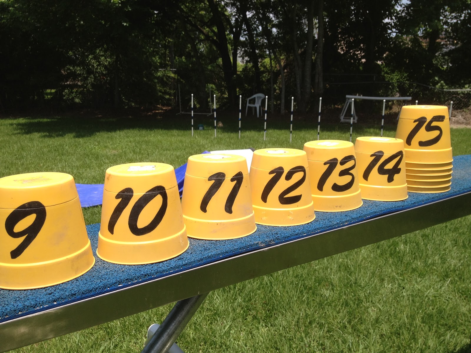 Michele Fry's Agility Dogs Training and Competition Number Cones