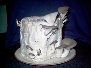 thesis on oyster mushroom Stage on the growth and yield of oyster mushroom keywords: oyster mushroom, gibberellic acid (ga3), primordia initiation stage, growth, m s thesis. thesis on oyster mushroom Stage on the growth and yield of oyster mushroom keywords: oyster mushroom, gibberellic acid (ga3), primordia initiation stage, growth, m s thesis.
