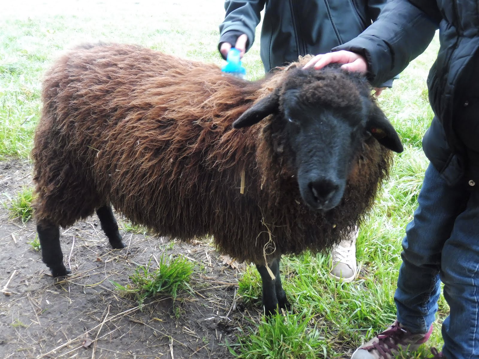 Bianca, das Nesthäkchen