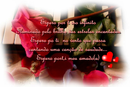 Pequenas poesias bonitas. Inspiração para o seu dia!