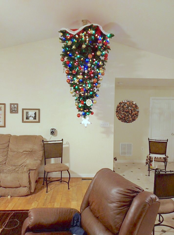 7 ways to protect a Christmas tree from your ferret