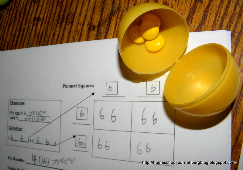 All Things Beautiful Easter Egg and M & M's