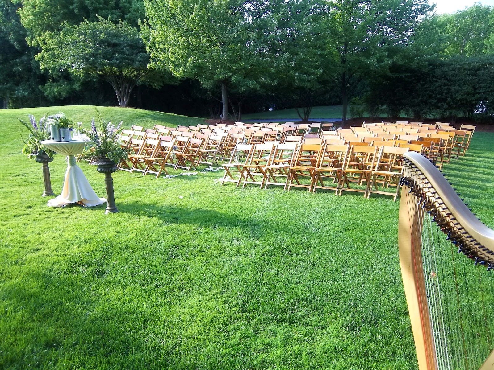 Wedding Harpist in Chicago Ceremony Music in Long Grove The Classic
