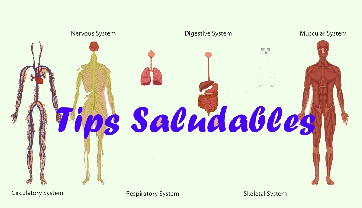 Tips Saludables