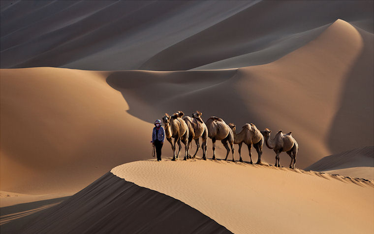 Camino por el desierto - Journey through the desert by Shin YongSang