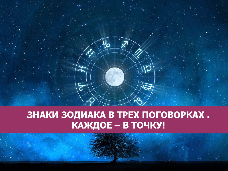 Знак зодиака в трех поговорках Знак зодиака в трех поговорках
