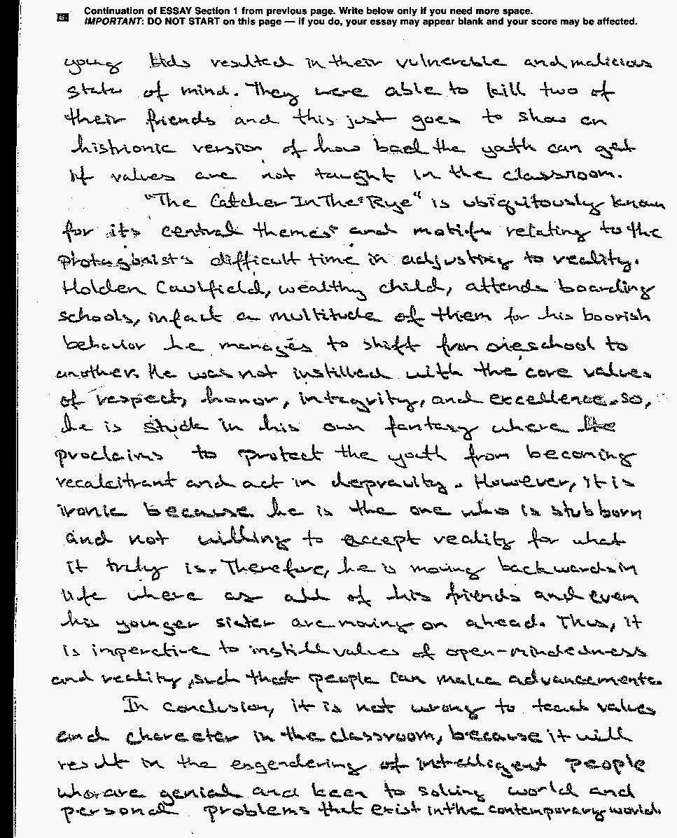 descriptive essay of the beach