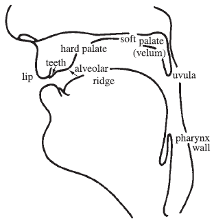 Who says I'm not studying?: LJ - Chapter 1 - Articulation and Acoustics