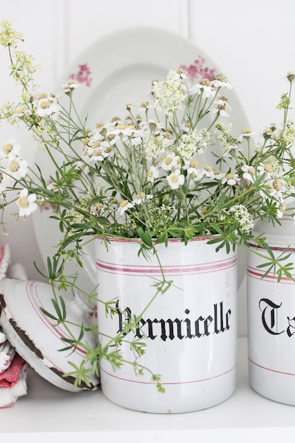 I dag skal jeg dele noe veldig søtt og veldig smått med dere.....bare vent å se :) Men først litt blomster fra grøftekantene og litt franskt og svak rød.