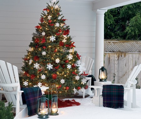 a muskoka outdoor christmas tree decorated with white snowflakes red balls and red birds the christmas tree is surrounded by white muskoka chairs - Red Bird Christmas Tree Decorations a muskoka outdoor christmas tree decorated with white snowflakes red balls and red birds the christmas tree is surrounded by white muskoka chairs - Red Bird Christmas Tree Decorations