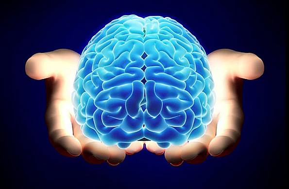 “La mano es la extensión del cerebro”. Adalbert I. Kapandji.