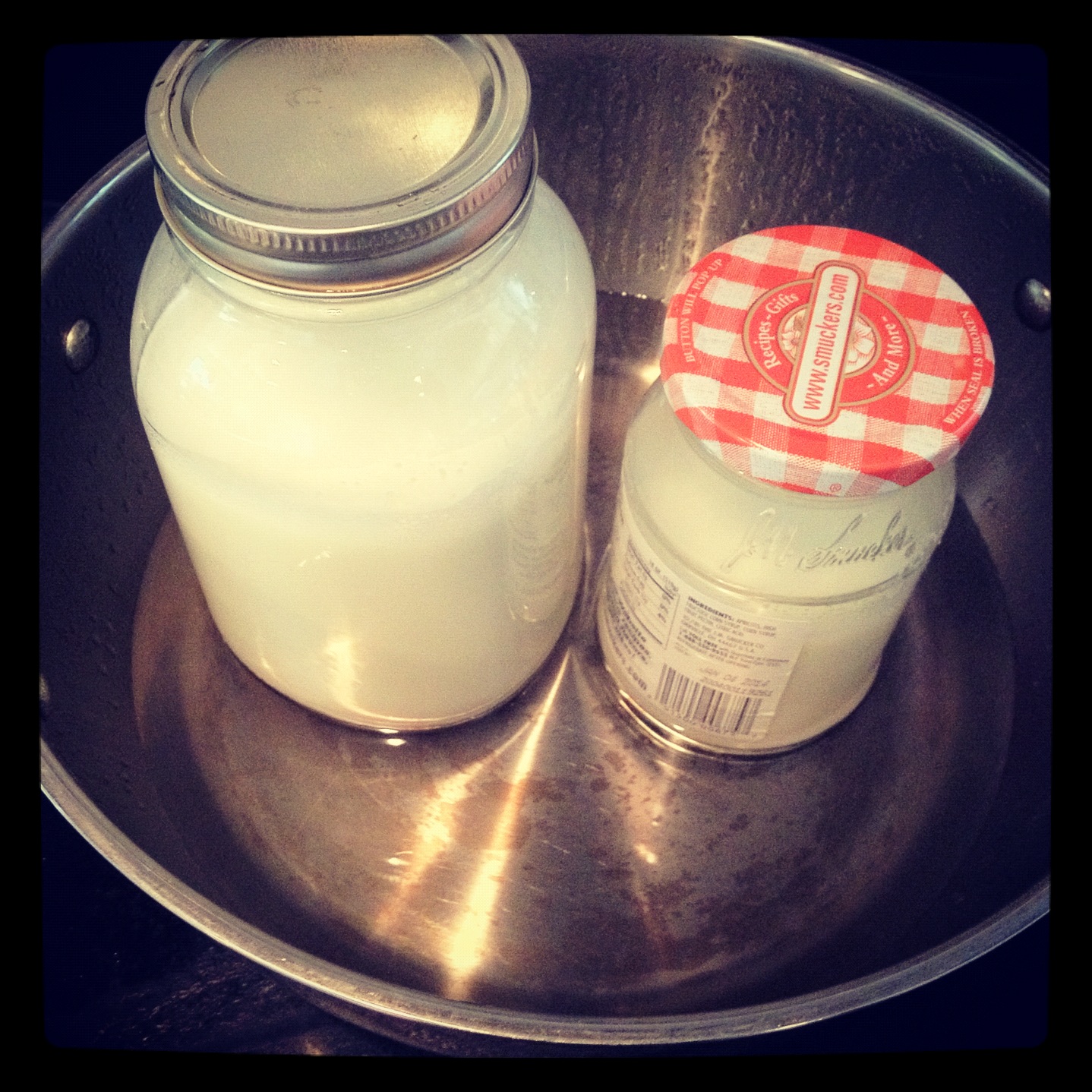 left yogurt out overnight