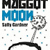 Recommendation: 'Maggot Moon' by Sally Gardner