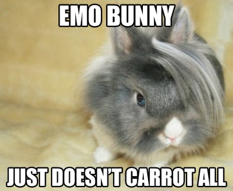 Image result for Easter puns