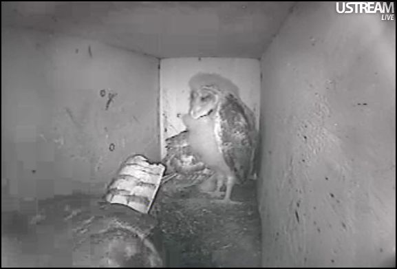 Adventures With Mel Syd Friday June 15 2012