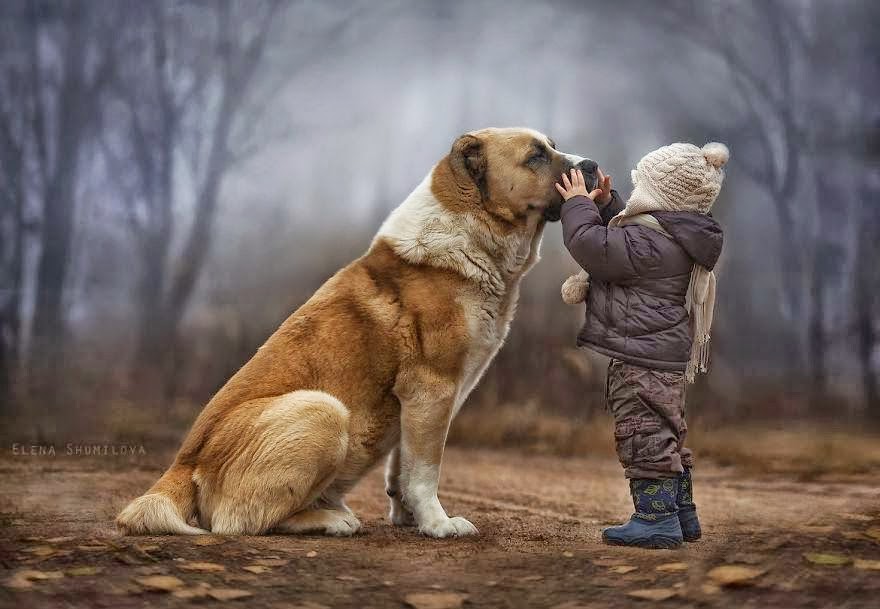 These Pictures Are What Dreams Are Made Of... These Pictures Are What Dreams Are Made Of...