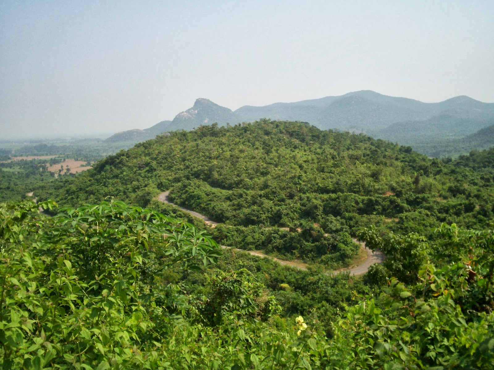Exotic Destinations Ayodhya Hills(Beautiful Place) In West Bengal