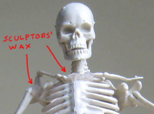 Mr. Thrifty Skeleton