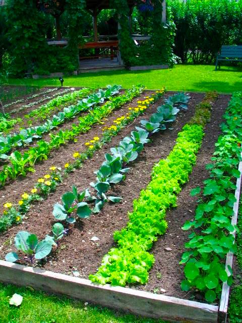 Image Result For Ardens Garden Image Result For Ardens Garden