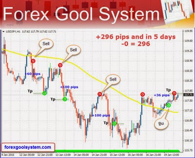 Forex zlema accumulation indicator