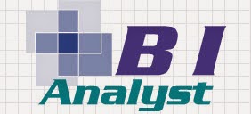 BI Analyst