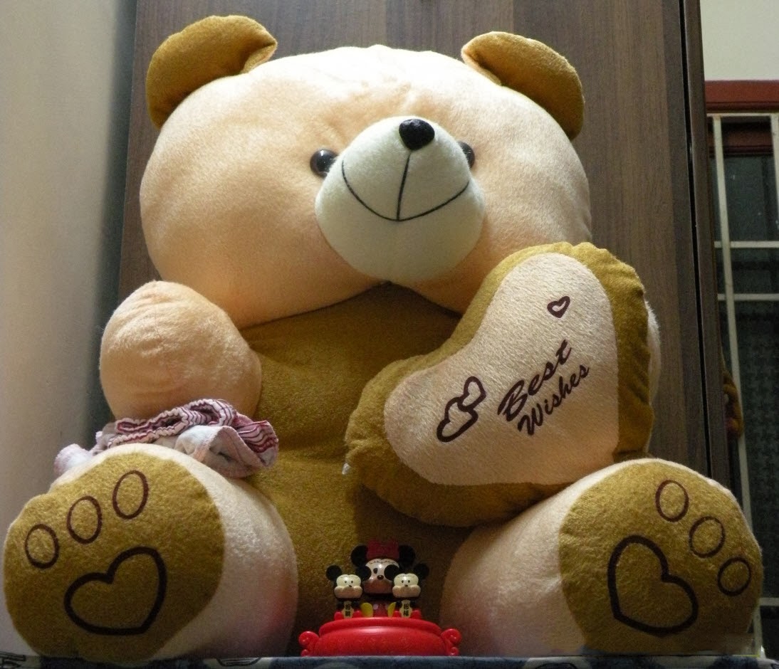 Happiness Style: Happy Teddy Day (10th February 2014) HD ...