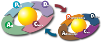 PDCA cycle